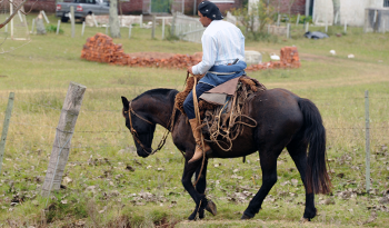 Comenzó la entrega de raciones a productores rurales ante la emergencia agropecuaria Comenzó la entrega de raciones a productores rurales ante la emergencia agropecuaria