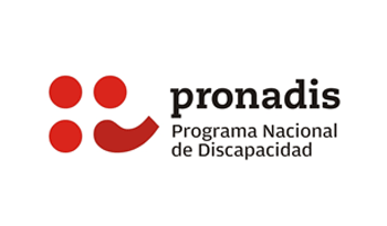 Programa Nacional de Discapacidad Programa Nacional de Discapacidad
