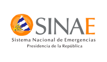 Logo institucional del Sinae