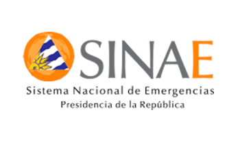 Logo institucional del Sinae Logo institucional del Sinae