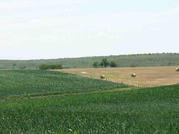 Producción agrícola