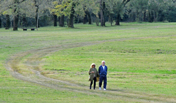 Seguridad social igualitaria para hombres y mujeres Seguridad social igualitaria para hombres y mujeres