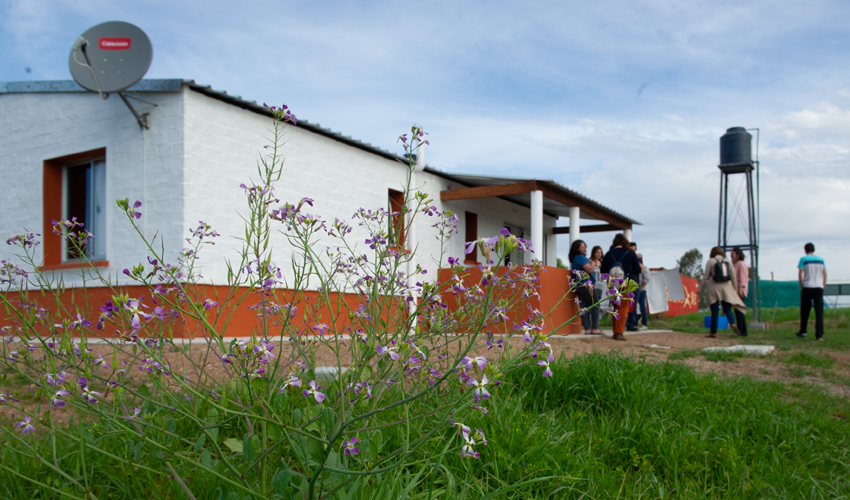 Obras de Mevir en San Antonio, Canelones Obras de Mevir en San Antonio, Canelones