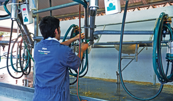 Operario en un tambo