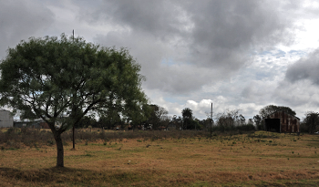 Uruguay ratificó Acuerdos de París sobre Cambio Climático Uruguay ratificó Acuerdos de París sobre Cambio Climático