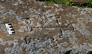 Petroglifos (piedras grabadas) en Salto