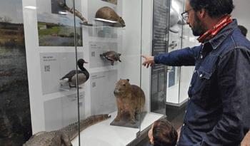 Museo de Historia Natural Museo de Historia Natural