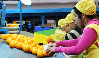 Alimento uruguayo para el mundo Alimento uruguayo para el mundo