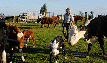 Tierras para el trabajo de familias y asalariados Tierras para el trabajo de familias y asalariados