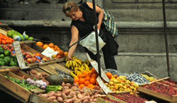 El mundo tira entre 30 % y 50 % de los alimentos que produce por deficiente distribución El mundo tira entre 30 % y 50 % de los alimentos que produce por deficiente distribución