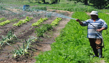 Chacra policial Chacra policial