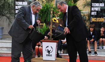 Mujica y líderes religiosos plantaron un olivo para promover el valor de la paz Mujica y líderes religiosos plantaron un olivo para promover el valor de la paz