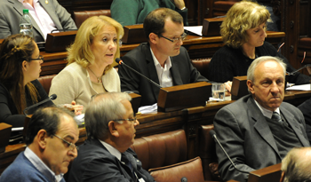 La ministra Carolina Cosse explica a los diputados los alcences del acuerdo por regasificadora La ministra Carolina Cosse explica a los diputados los alcences del acuerdo por regasificadora