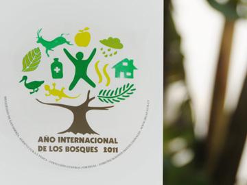 Logo Año Internacional de los Bosques