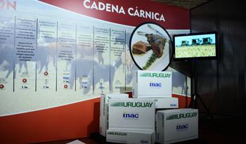 La carne uruguaya invade nuevos mercados