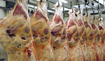Carne en planta frigorífica