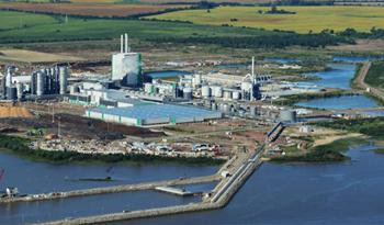 Montes del Plata, la mayor inversión que recibe Uruguay en su historia Montes del Plata, la mayor inversión que recibe Uruguay en su historia