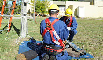 Trabajadores