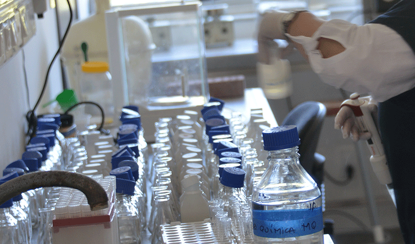 Encuentro de ciencia en el camping del cerro Arequita, en Lavalleja