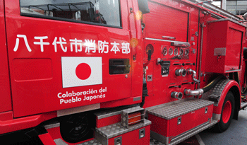 Cochebomba japonés Cochebomba japonés