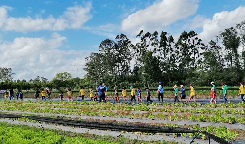 Productores de Treinta y Tres