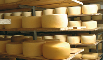 Exportaciones de quesos a Venezuela por 1.400 toneladas en 2015