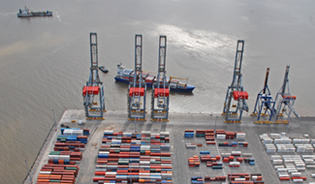 Trabajo uruguayo para el mundo