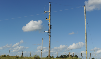 Cableado de electricidad en campo Cableado de electricidad en campo