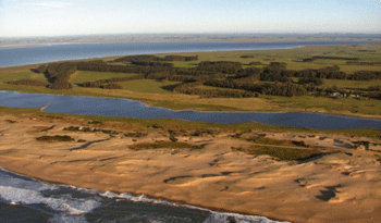 Laguna de Rocha Laguna de Rocha