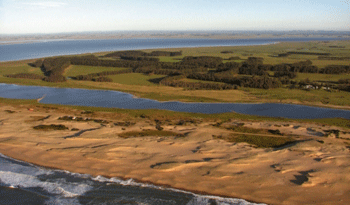 Laguna de Rocha