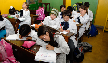 Escolares Escolares