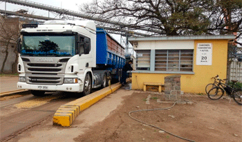 Camión en puerto de Nueva Palmira Camión en puerto de Nueva Palmira