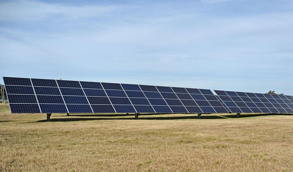 Parque solar