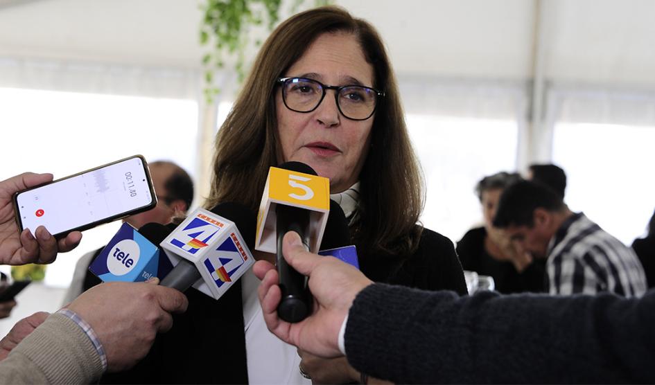 Ministra de Industria, Energía y Minería, Elisa Facio, durante la ronda de prensa Ministra de Industria, Energía y Minería, Elisa Facio, durante la ronda de prensa