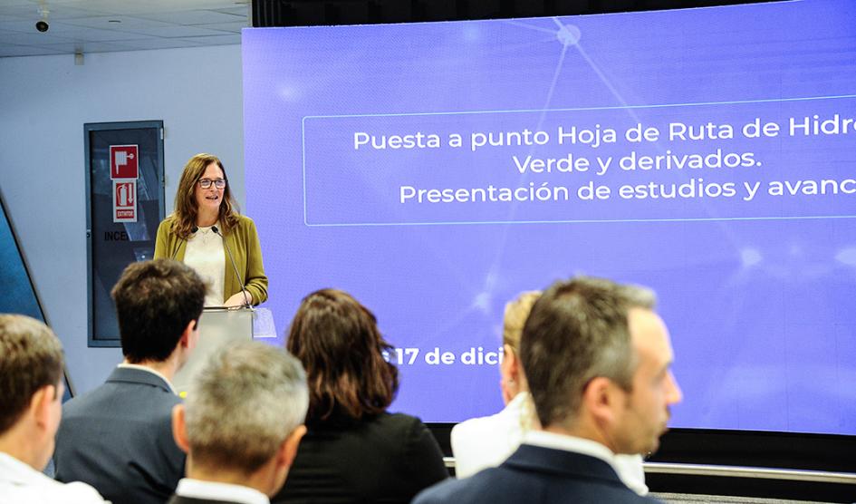 Elisa Facio en presentación de Hoja de Ruta del Hidrógeno Verde