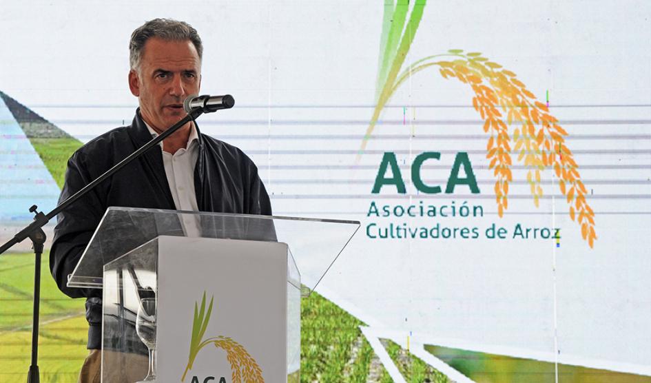 Orsi en inauguración de cosecha de arroz