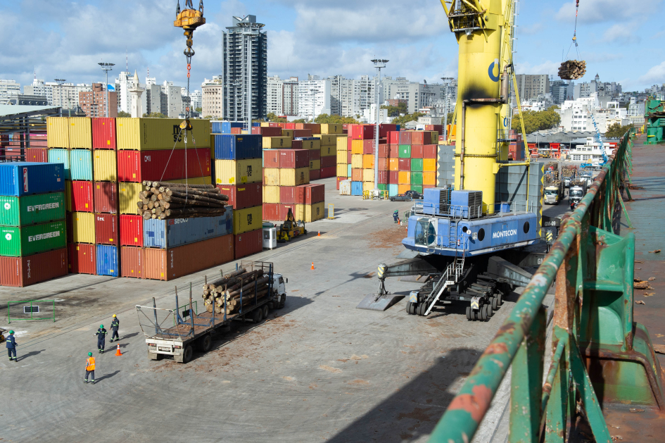 Puerto de Montevideo dispondrá de 16 puestos de pesaje