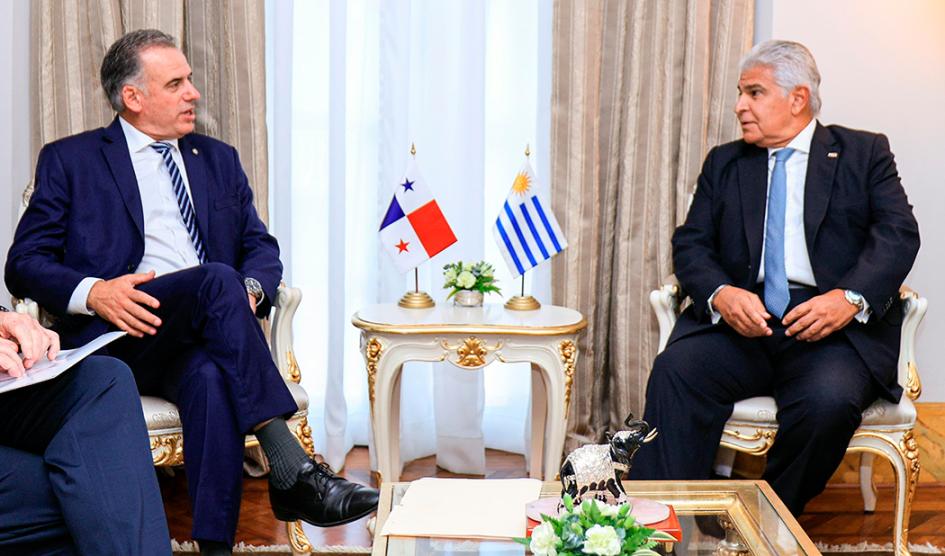 Orsi y Mulino