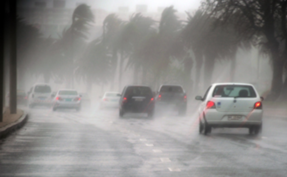 Autos circulan por una calle bajo una lluvia torrencial. En la vereda, árboles que se mueven por el viento
