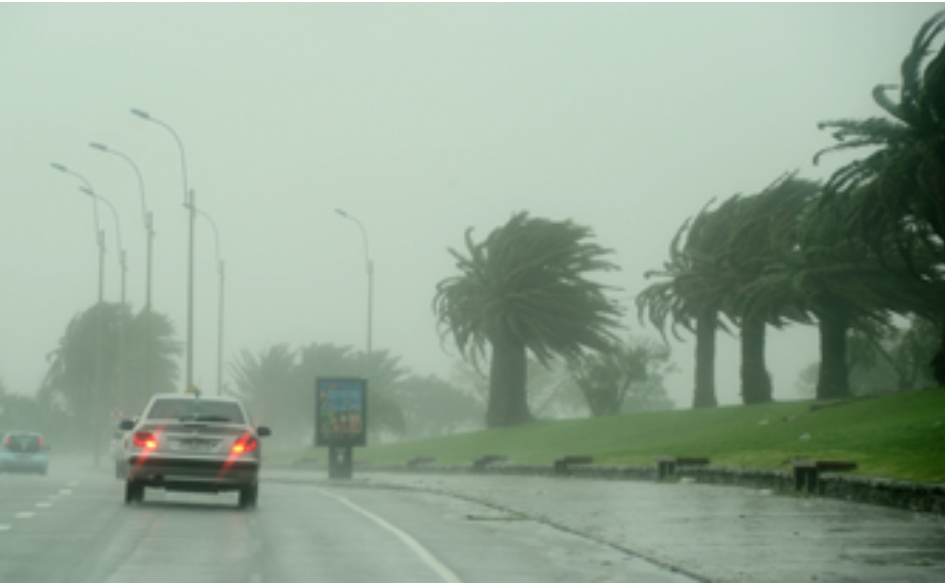 Auto circula por una calle bajo la lluvia. Los árboles que están al lado de la calle se mueven con el viento