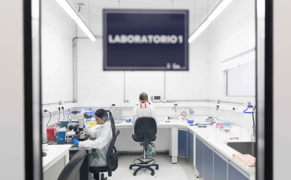 Autoridades destacan importancia de articulación entre Gobierno y academia para abordar desafíos complejos Dos científicas, sentadas, manipulan instrumentos en un laboratorio. De frente, un cartel pegado en la puerta que dice "Laboratorio"