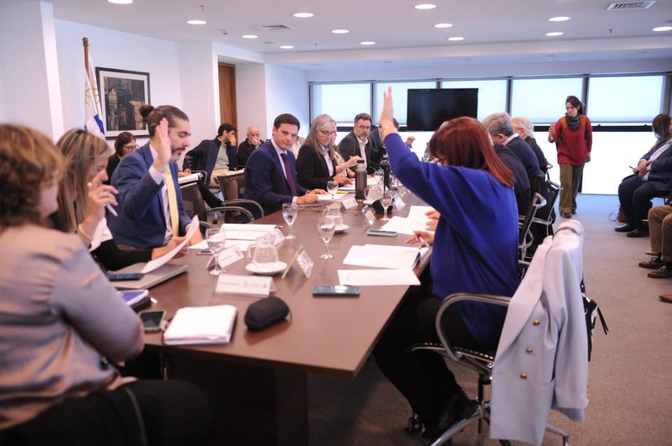 Imágenes de los participantes de la reunión durante la sesión Imágenes de los participantes de la reunión durante la sesión