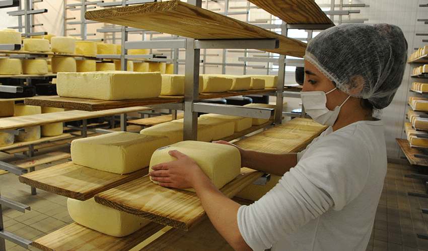 Productora de quesos Productora de quesos