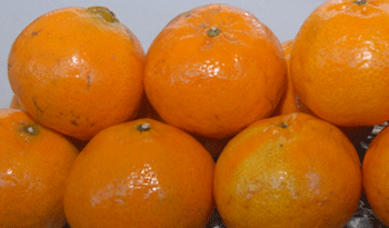 Mandarinas Mandarinas