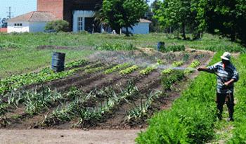 Actividad de riego en el campo Actividad de riego en el campo