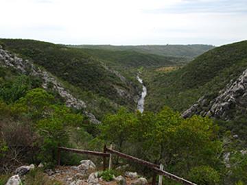 Paisaje natural Paisaje natural