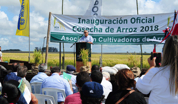 Ministro Enzo Benech en apertura de la cosecha arrocera 2018 Ministro Enzo Benech en apertura de la cosecha arrocera 2018
