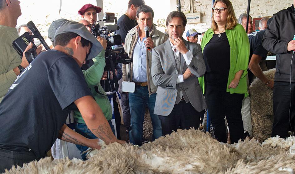 Presidente Luis Lacalle Pou observa la esquila de un ovino Presidente Luis Lacalle Pou observa la esquila de un ovino