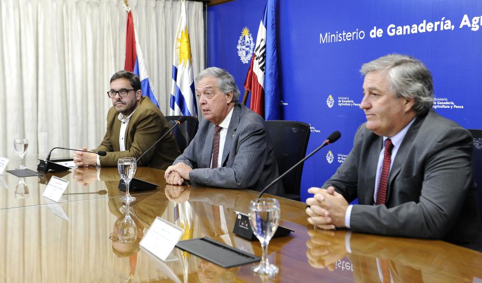 Ferber, Mattos y Buffa