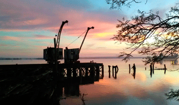 Muelle del Paisaje Cultural Fray Bentos Muelle del Paisaje Cultural Fray Bentos
